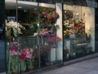 Flower Shop NYC